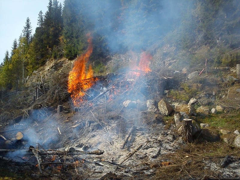 Kanalløypa: Litt skummel størrelse på bålet opp mot skiløypa. Foto: Fredrik Zimmer