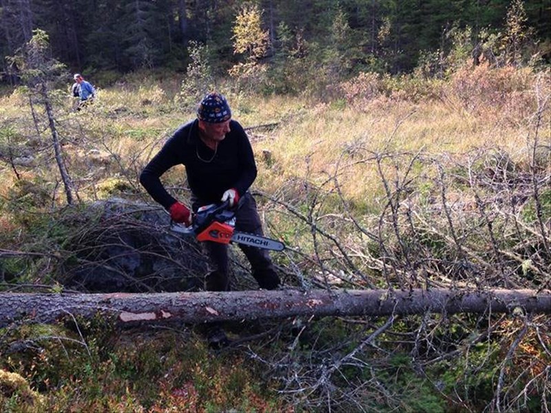 Bjønnputten: Morten Furu svinger motorsaga og fjerner kvist (vi vil ikke ha riper under skiene). Foto: Pål Cato Elshaug