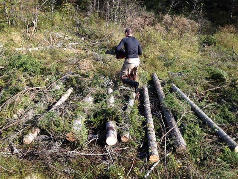 Bjønnputten: Vått mellom stokkene i myra – valgte riktig fottøy: gummistøvler. Foto: Pål Cato Elshaug