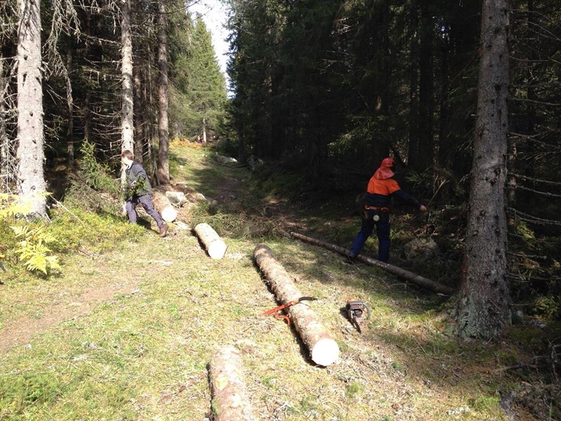 Vestend: Hege og Olaf Godli rydder i løypa. Foto: Leif Øie