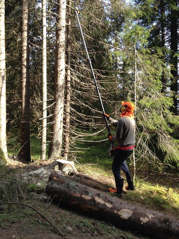 Vestend: Eirik Formo kvister. Foto: Leif Øie