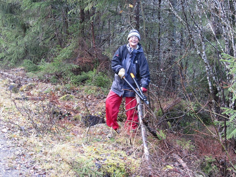 Anne Margrethe Grimsvang rydder kvist langs Myllavegen syd. Foto: Lene Li Dragland