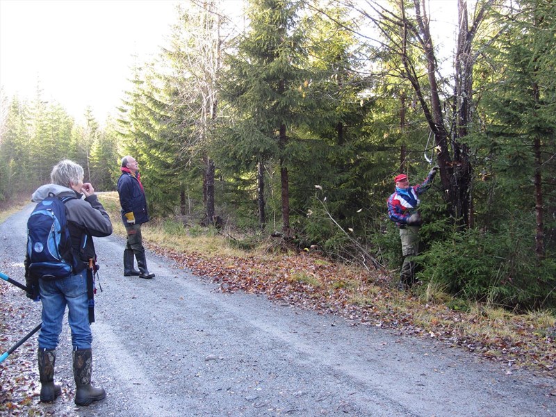 Ingeborg Bjørnstad, John Brungott og Svein Grimstad – like før Svein begynner med øksekasting. Og øksa ble vel aldri funnet igjen…. Foto: Lene Li Dragland