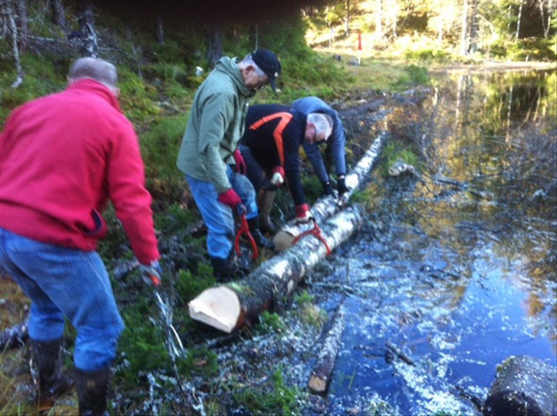 Steinar Faanes, Morten Juell, Thomas Knutzen og Rune Volla legger stokker innerst i Sveavannet. Foto: Arild Bernstrøm