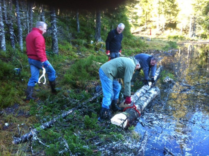 Steinar Faanes, Morten Juell, Thomas Knutzen og Rune Volla legger stokker innerst i Sveavannet. Foto: Arild Bernstrøm