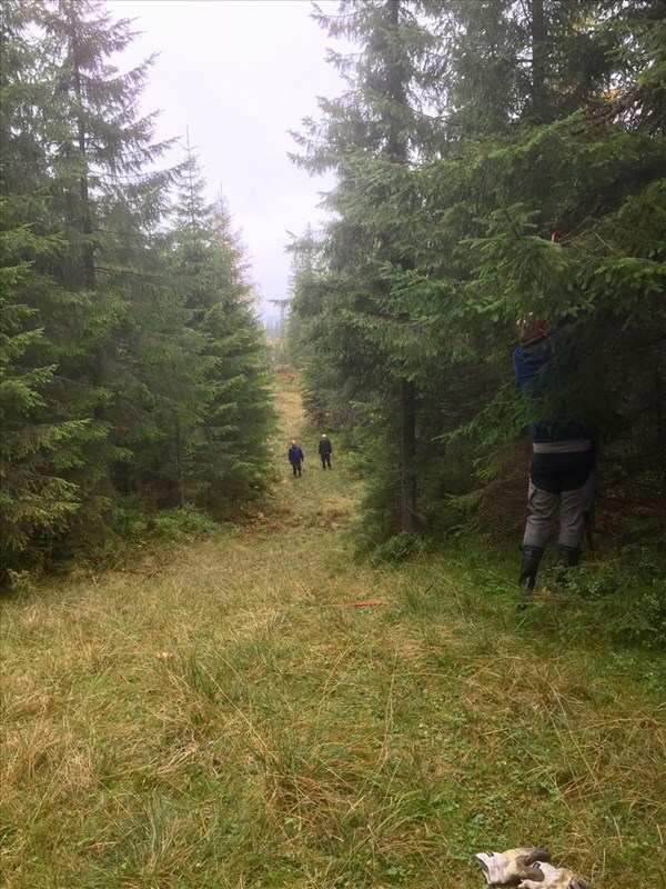 Gunstein Hansen, Lasse Grønningsæter og Thomas Knutzen ryddet løypa fra Kanalen til Bjønnputten med fotograf Lene Li Dragland