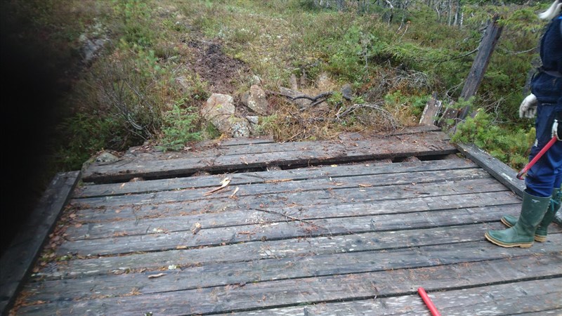 Hilde Reh Stensrud med høvelig verktøy fjerner råtne planker på bru i løypa. Foto: Bo Engdahl