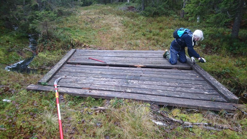 Hilde Reh Stensrud med høvelig verktøy fjerner råtne planker på bru i løypa. Foto: Bo Engdahl