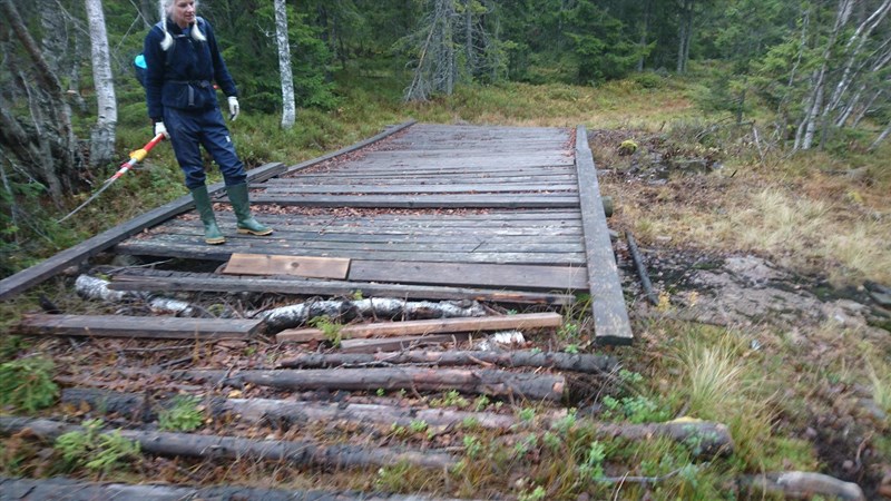 Hilde Reh Stensrud, også utstyrt med høvelig redskap for greinkutting, inspiserer bru som ser ut nok trenger overhaling neste år. Foto: Bo Engdahl