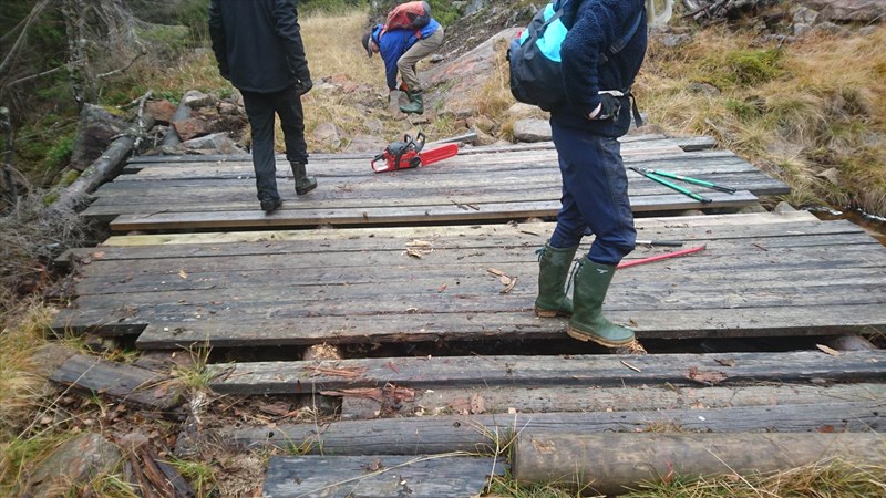 Etter lang tur over flere bruer kom de til den nederste i Formoløypa der også Lars Petter Fjeld og Morten Juells gummistøvler er med på bildet etter at de var på vei ned etter dugnad langs hele Formøløypa. Hilde Reh Stensrud nærmest fotografen. Foto: Bo Engdahl