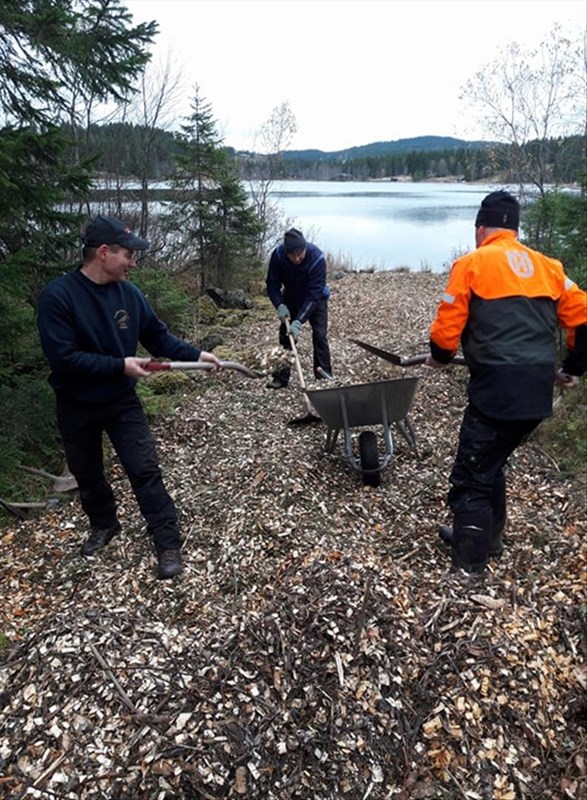 Et lass med bark skal gjøre utkjøringen i løypa fra Svea til Belteren bedre. Tom Erik Johnsen, Paul Hagen og Olaf Godli og Fotograf Hege Marie Godli tok jobben.