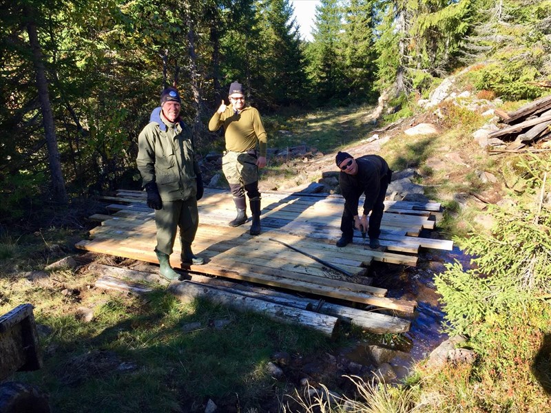 Alle plankene på brua byttet, nå kan kalvene trampe dem ihjel igjen. Jostein Refsnes, Bjørn Arild Madsen og Stian Hauger fornøyd med utført arbeid. FOTO: Lene Li Dragland