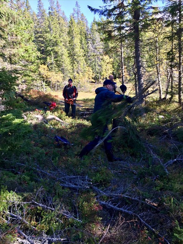 Formoløypa: Kåre Hansen med motorsag, Finn Hammer, Ellen Hansen og Eirik Formo. FOTO: Lene Li Dragland