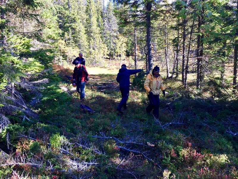 Lenger oppe i Formoløypa ryddet Kåre Hansen, Eirik Formo, Finn Hammer og Ellen Hammer FOTO: Lene Li Dragland