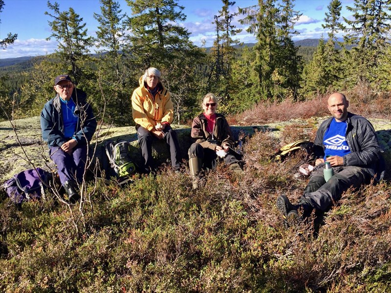 Venehaugane 492 m.o.h. og fantastisk utsikt. Litt klatring for å komme dit, men flott sted å spise matpakka. Finn Hammer, Ellen Hansen, Lene Li Dragland og Eirik Formo sitter med ryggen mot vinden som blåste nokså mye. FOTO: Kåre Hansen