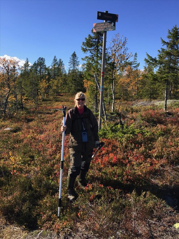 Lene Li Dragland framme på Bislingen – Formoløypa ferdig ryddet. FOTO: Ellen Hansen