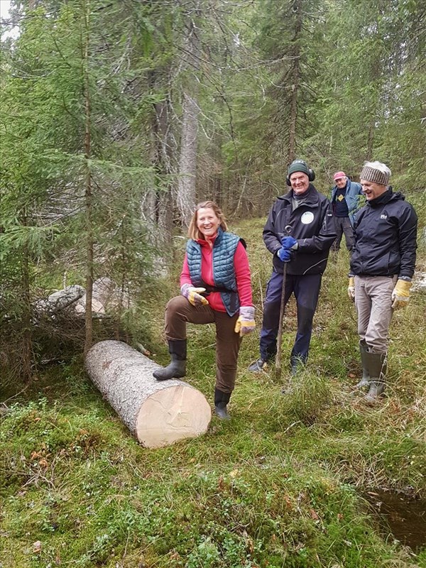 Margarete Wiese beseiret tømmerstokken da Arild Bernstrøm, Sigurd Bjørnstad og Arild Lund ryddet rotvelt i ny trasé ved Høgnes FOTO: Tore H. Rasmussen