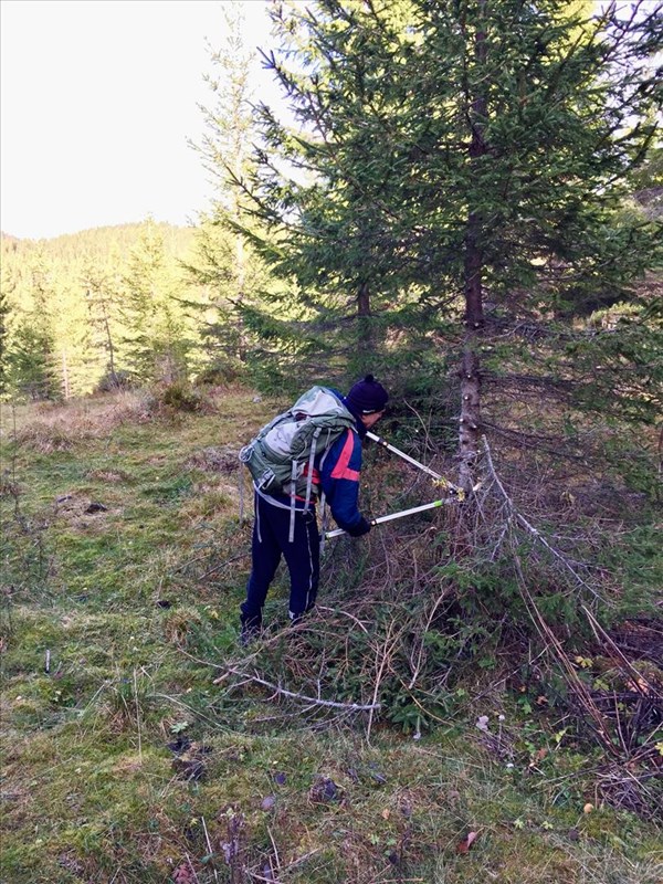 Terje Stenberg rydder løypa fra Gørvomma til Bjønnputten. FOTO: Lene Li Dragland