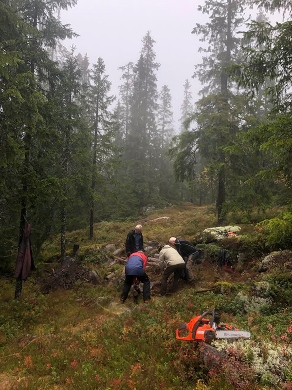 Et steinete parti i Formoløypa, stokker legges så løypemaskinen kommer fram uten skader. Anders Heger, Lasse Haugen, Sverre Sjøblom og Haakon Kalvsjøhagen bukserer stokkene. Foto Lasse Brokke