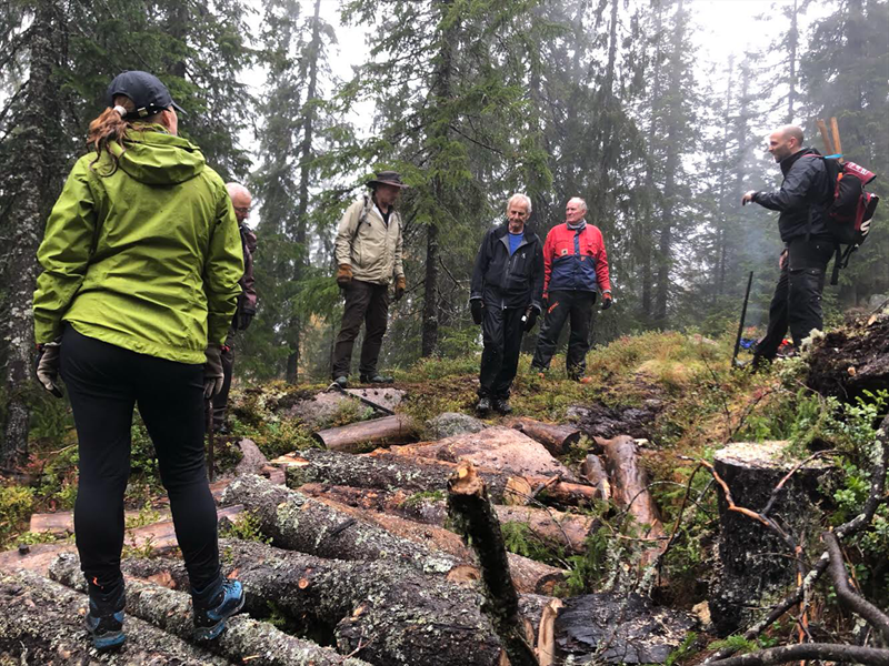 Dette ble bra, alle steinene kamuflert av stokker. Hege Brekke Kalvsjøhagen, Haakon Kalvsjøhagen, Sverre Sjøblom, Anders Heger, Lasse Haugen og Eirik Formo i Formoløypa. Foto: Lasse Brokke.