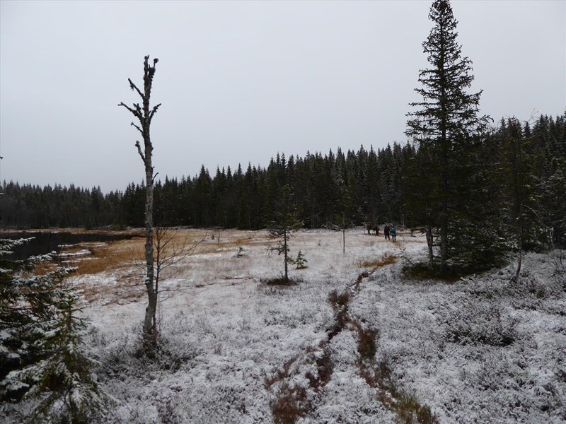 Vandring langs Grønntjernet, i nysnø. Haakon Kalvsjøhagen, Hege B. Kalvsjøhagen, Thomas Knutzen og Hilde Reh Stensrud. Foto: Lene Li Dragland