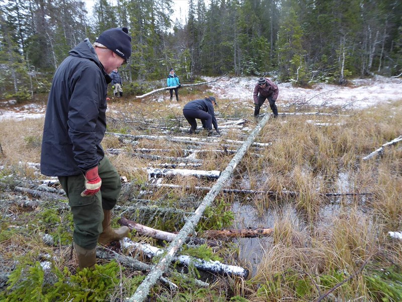 Mye vann i vika sør i Grønntjernet. Vi utvider området med kavling så løypekjørerne slipper ubehagelige overraskelser, Thomas Knutzen, Hege B. Kalvsjøhagen, Haakon Kalvsjøhagen, Hilde Reh Stensrud og Leif Øie. Foto: Lene Li Dragland