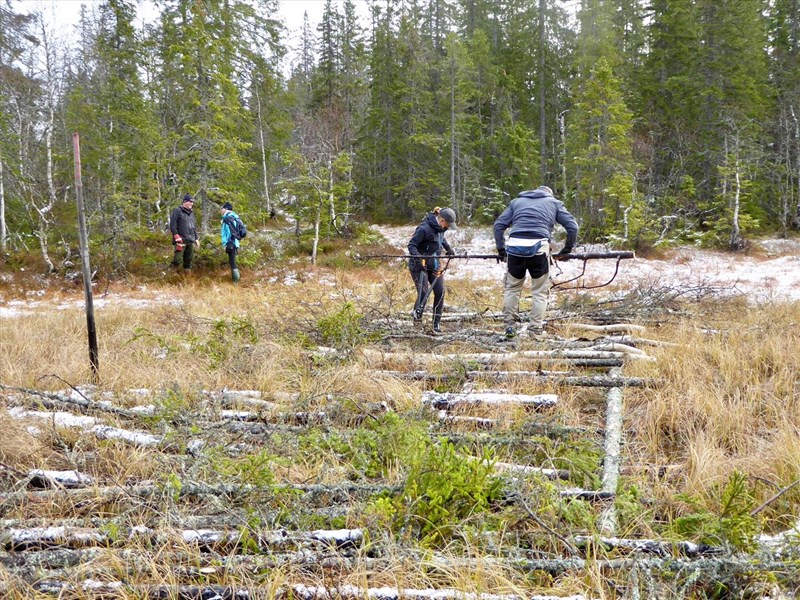 Kavling ved Grønntjernet. Thomas Knutzen. Hilde Reh Stensrud, Hege B. Kalvsjøhagen og Leif Øie. Foto: Lene Li Dragland