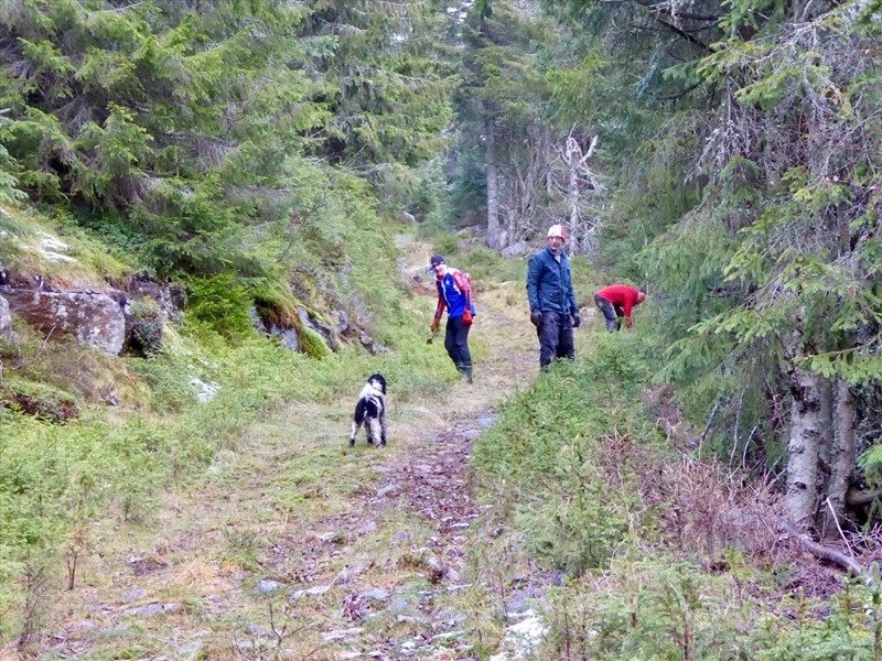 I Bislingvegen ned mot Grønntjernkrysset jobbet Joakim Lystad, Kjell Ivar Skjemstad og Terje Osmundsen med rydding av småtrær og steiner i og langs løypetraseen. Foto: Lene Li Dragland