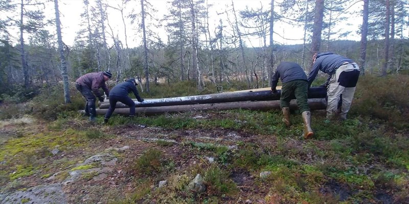 Ved brua ved Svartjernet (Svartbekktjernet) lå endel materialer i løypa. Utbedringer her må vente, så dugnadslaget flyttet stokker til siden. Haakon Kalvsjøhagen, Hege B. Kalvsjøhagen, Thomas Knutzen og Leif Øie. Foto: Hilde Reh Stensrud.