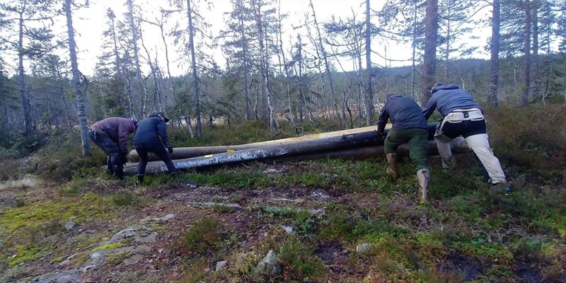 Ved brua ved Svartjernet (Svartbekktjernet) lå endel materialer i løypa. Utbedringer her må vente, så dugnadslaget flyttet stokker til siden. Haakon Kalvsjøhagen, Hege B. Kalvsjøhagen, Thomas Knutzen og Leif Øie. Foto: Hilde Reh Stensrud.