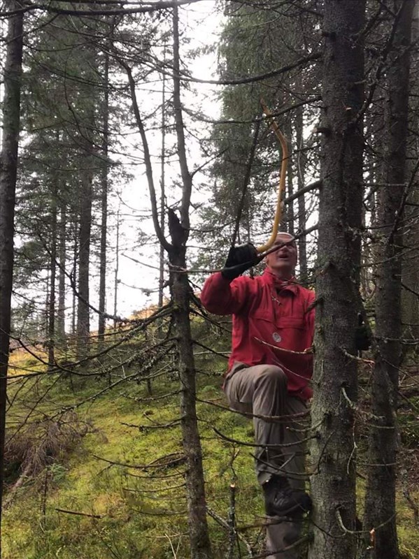 Jakob Skogseid kvister i løypa ved Småtjernet. Foto: Anne Kvisgaard Gløersen