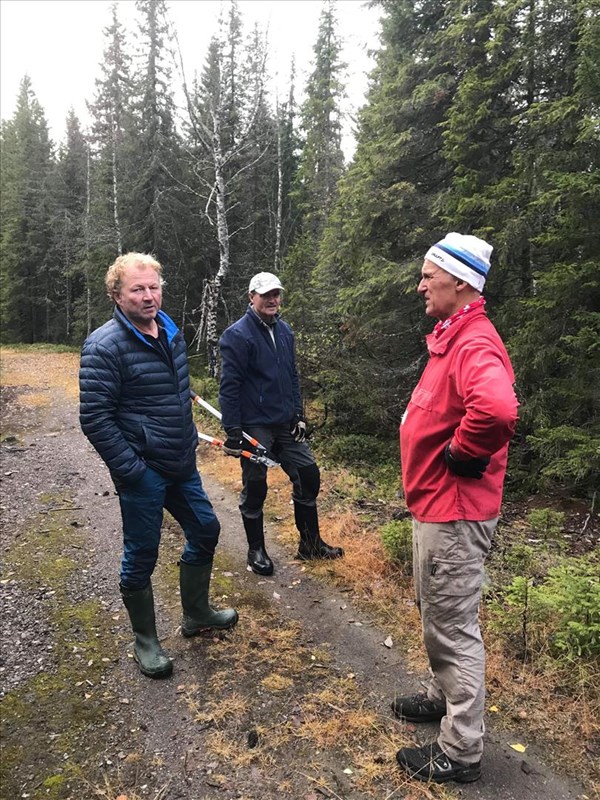 Sverre Sjøblom, Jakob Skogseid og Harald Gløersen rydder løype ved Småtjernet. Foto: Anne Kvisgaard Gløersen