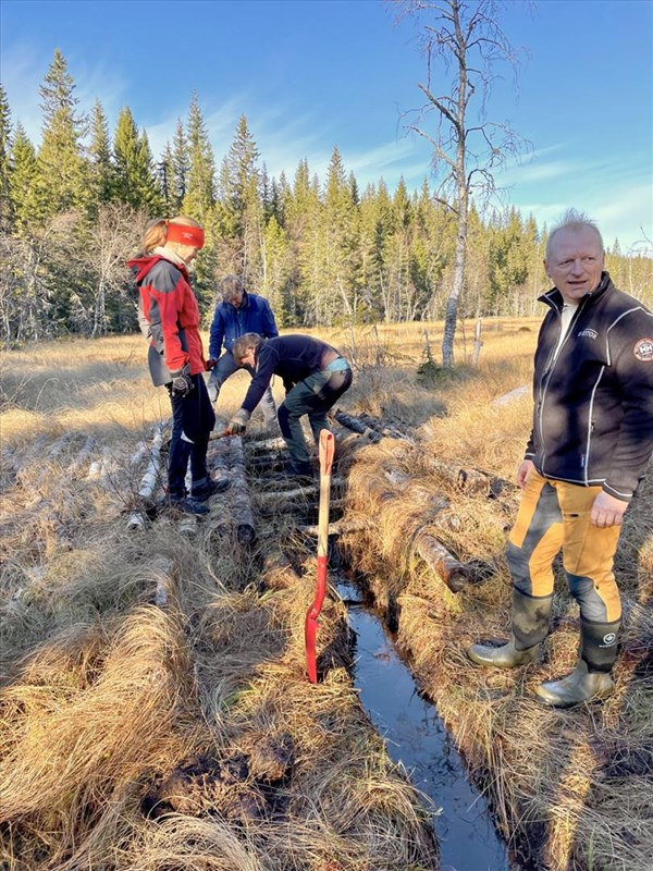 Kloppa åpnes for å få tak i gjengroingen under. Elise Caspersen, Casper Arnesen, Ole Andreas Flagstad og Steinar Faanes. Foto: Lene Li Dragland