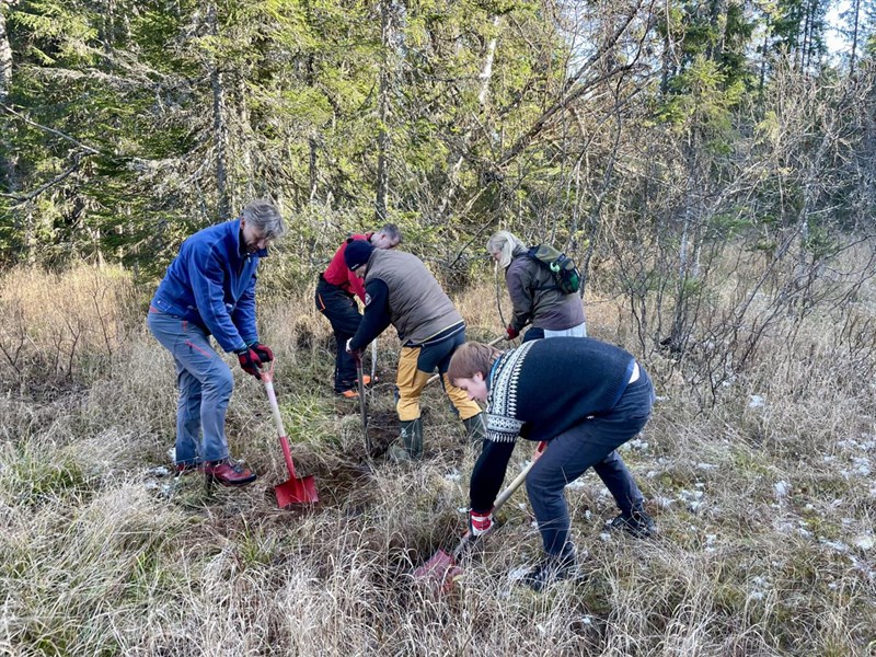 Gjengrodd må gjenåpnes. Ole Andreas Flagstad Nik Hunziker, Steinar Faanes, Trond Faanes og Lene Li Dragland – og høvelige redskaper. Foto: Thomas Knutzen