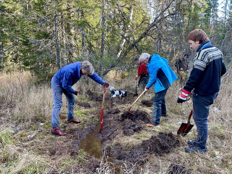 Ole Andreas Flagstad, Nik Hunziker, Thomas Knutzen og Steinar Faanes åpner bekkeløpet i myra sør for Bjønnputten. Foto: Lene Li Dragland