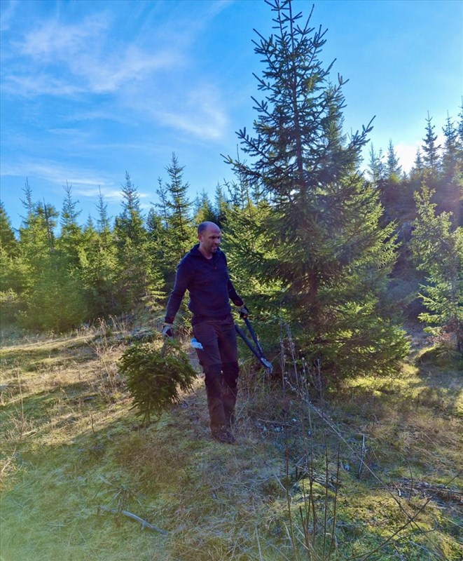 Eirik Formo rydder løypa fra Brattlia – Stormyra – Volla. Foto: Pål Heldrup Rasmussen