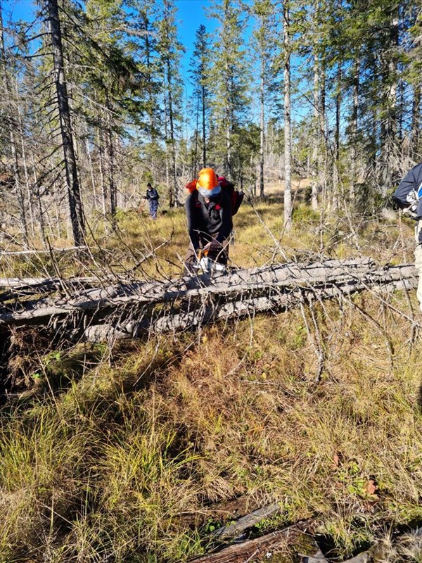 Eirk Formo, Leif Øie og Ole Tvete rydder toppbrekk fra løypa. Foto Pål Heldrup Rasmussen