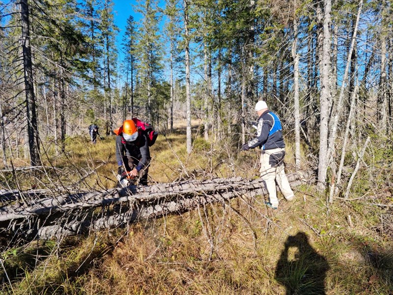 Eirik Formo kapper toppbrekk som sperrer løypa mot Stormyra. Foto: Pål Heldrup Rasmussen.