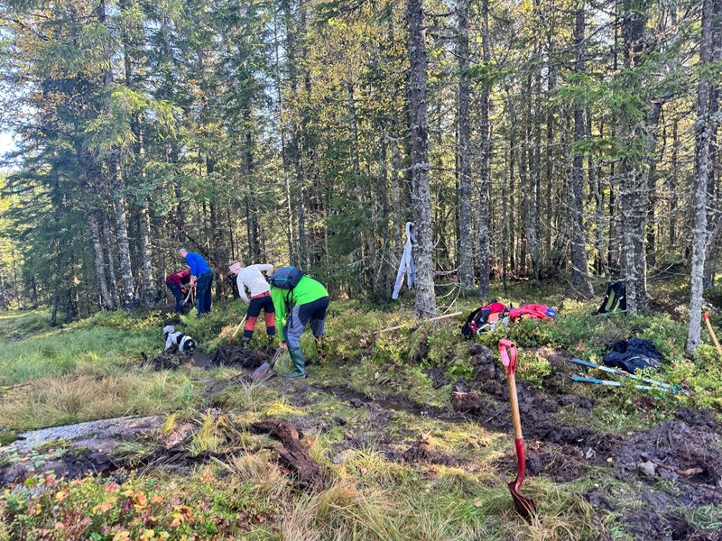 Grøftegravere i Formoløypa: Bo Engdahl Eirik Formo, Thea Knudsen, Thomas Knutzen og hunden Pan som elsker sånn sølevåt jobb. Foto: André Eiklid