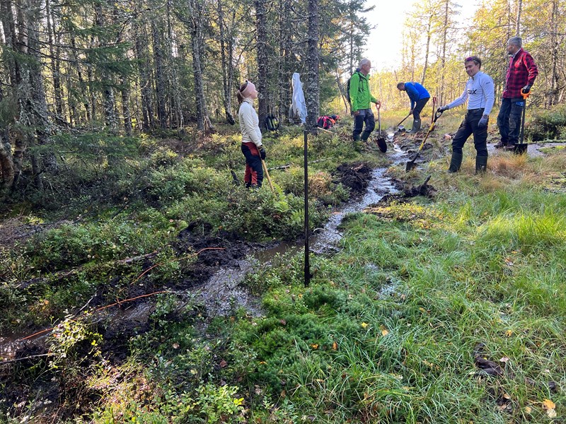 Formoløypa: Drenering av myra før Skillemyra. Thea Knudsen, og André Eiklid foran. Thomas Knutzen Arnfinn Strålberg og Bo Engdahl. Foto: Eirik Formo