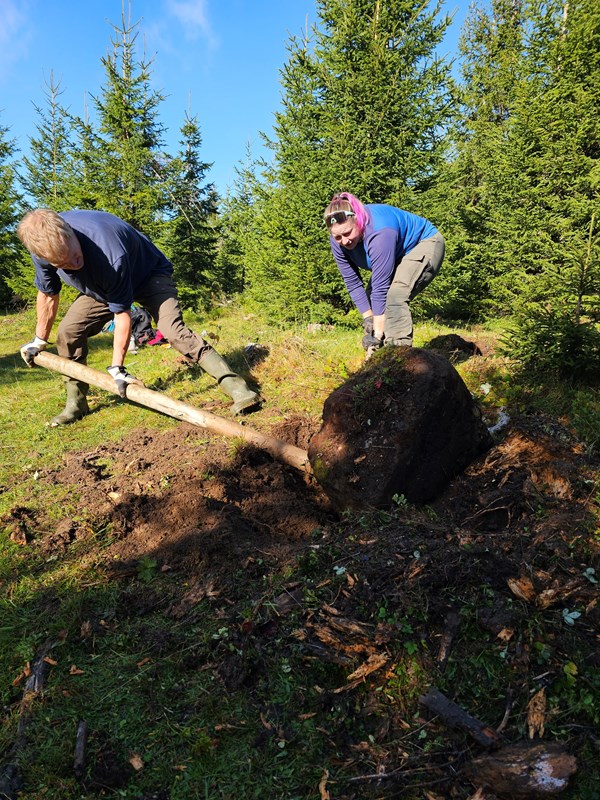 Denne steinen, ca 300 meter rett før Stormyra når man kommer fra Svea, har løypebas Arild ønsket fjernet i 19 år. Foto: Lars Petter Fjeld