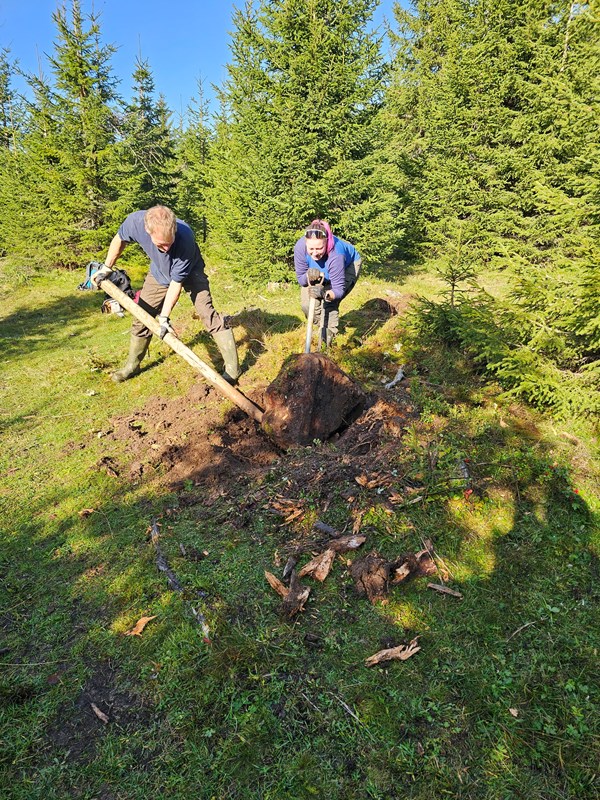 I dag fjernet Henrik Ohlsson og Runa Solvang og Lars Petter Fjeld steinen det tidligere sto et skilt med Solhaugen på. Foto: Lars Petter Fjeld