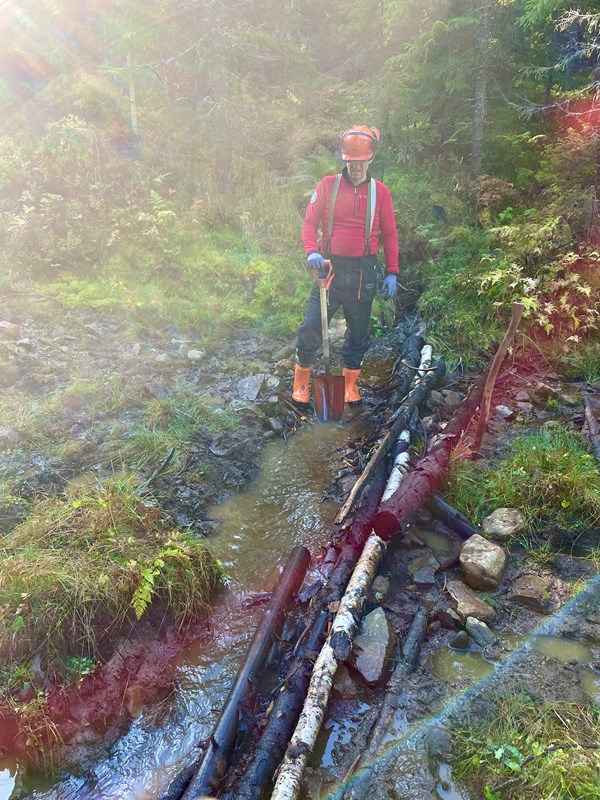 Der bratteste løypa opp til Bislingen går i driftsveien til Almenningen, like nedenfor Bislingvegen ble bekker åpnet og stokker lagt i så scooteren får laget god løype. Trond Faanes på trygg avstand bak. Foto: Steinar Faanes Foto: Steinar Faanes