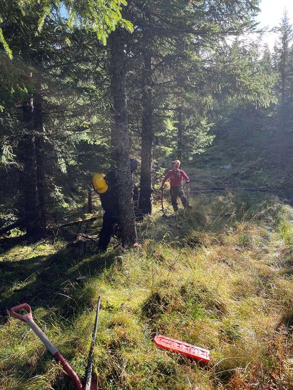 Der bratteste løypa opp til Bislingen går i driftsveien til Almenningen, like nedenfor Bislingvegen ble bekker åpnet og stokker lagt i så scooteren får laget god løype. Jakob Skogseid med motorsag, Trond Faanes på trygg avstand bak. Foto: Steinar Faanes