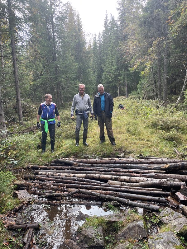 Vi la i flere stokker over denne bekken så løypemaskinen kommer over bekken. Foto: Lene Li Dragland Vi la i flere stokker over denne bekken så løypemaskinen kommer over bekken. Foto: Lene Li Dragland
