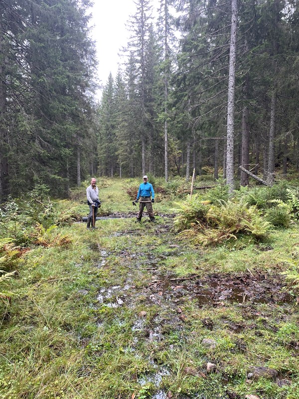 Inngangen til røret var tettet da vi kom, vi åpnet, og la på stokker rundt røret for bedre sikring. Foto: Lene Li Dragland Inngangen til røret var tettet da vi kom, vi åpnet, og la på stokker rundt røret for bedre sikring. Foto: Lene Li Dragland