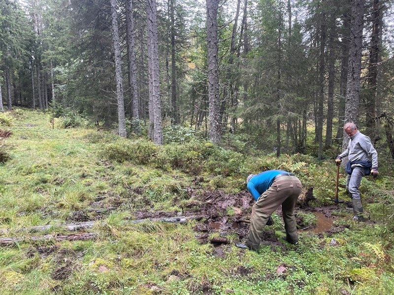 Gjørmebad nærmest, her er vi der Flisbanen lå i sin tid. Foto: Lene Li Dragland Gjørmebad nærmest, her er vi der Flisbanen lå i sin tid. Foto: Lene Li Dragland