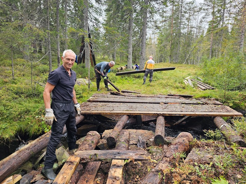 Brua ved Svartbekkhytta var råtten, kyrene har gått gjennom bordene. Første økt: fjerne gamle bord. . Foto: Lars Petter Fjeld Brua ved Svartbekkhytta var råtten, kyrene har gått gjennom bordene. Første økt: fjerne gamle bord. . Foto: Lars Petter Fjeld