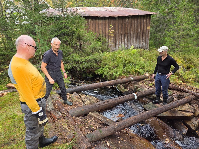 Trond, Bjørn-Inge og Lars Petter fikser ny bro. Foto: Ragnar Bang Huseby Trond, Bjørn-Inge og Lars Petter fikser ny bro. Foto: Ragnar Bang Huseby