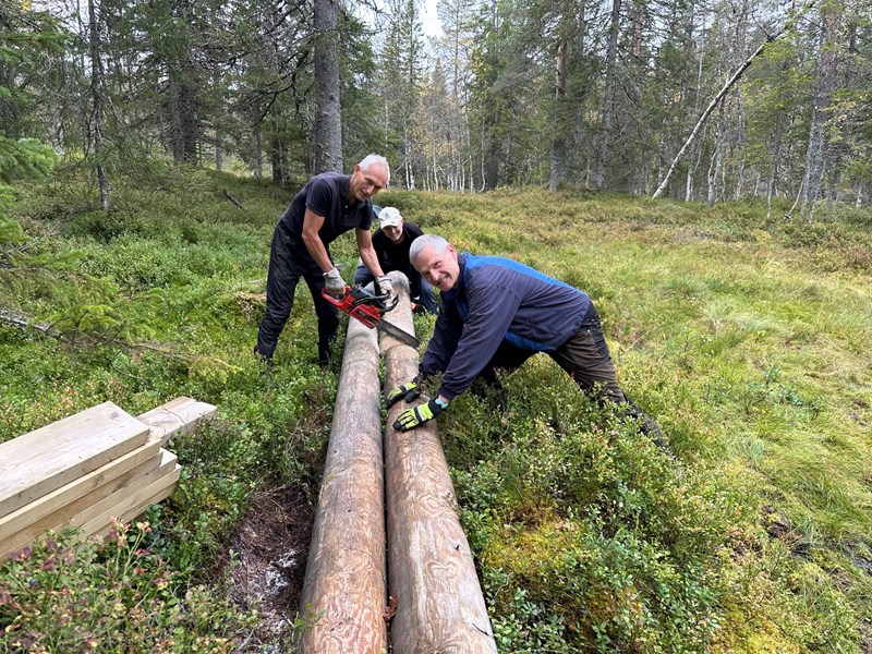Brua ved Svarttjernhytta må byttes ut. Bjørn-Inge kapper stokker mens teamleder Lars Petter og Ragnar holder. Foto: Trond Urdal. Brua ved Svarttjernhytta må byttes ut. Bjørn-Inge kapper stokker mens teamleder Lars Petter og Ragnar holder. Foto: Trond Urdal.
